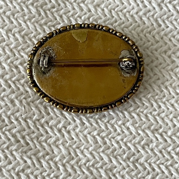 Morpho Butterfly Wing Brooch and Earrings - Picture 4 of 5